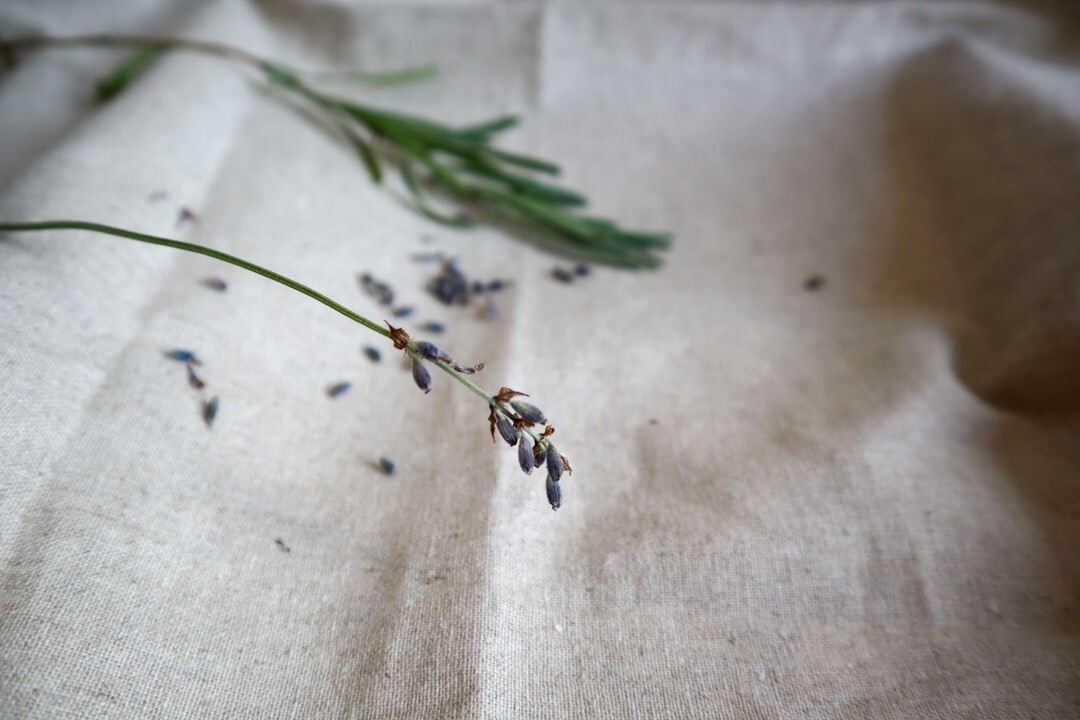 Local product photography of olive oil bottle on linen