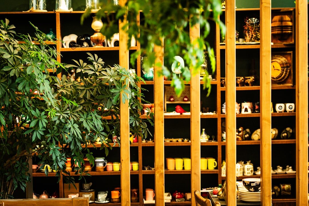 Local olive oil shop with bottles displayed on wooden shelf