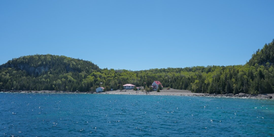 Quiet pebble beach with pine trees and turquoise water