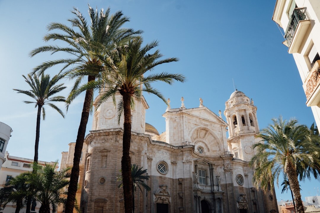 Split waterfront palm trees and historic buildings