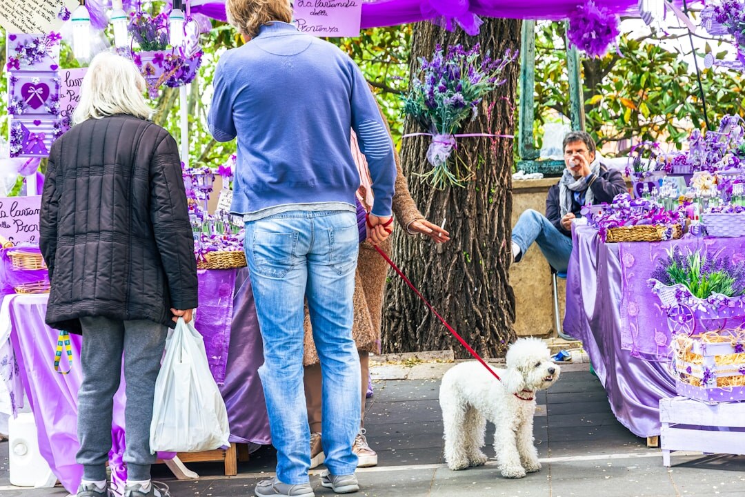 Small souvenir shop with handmade lavender products