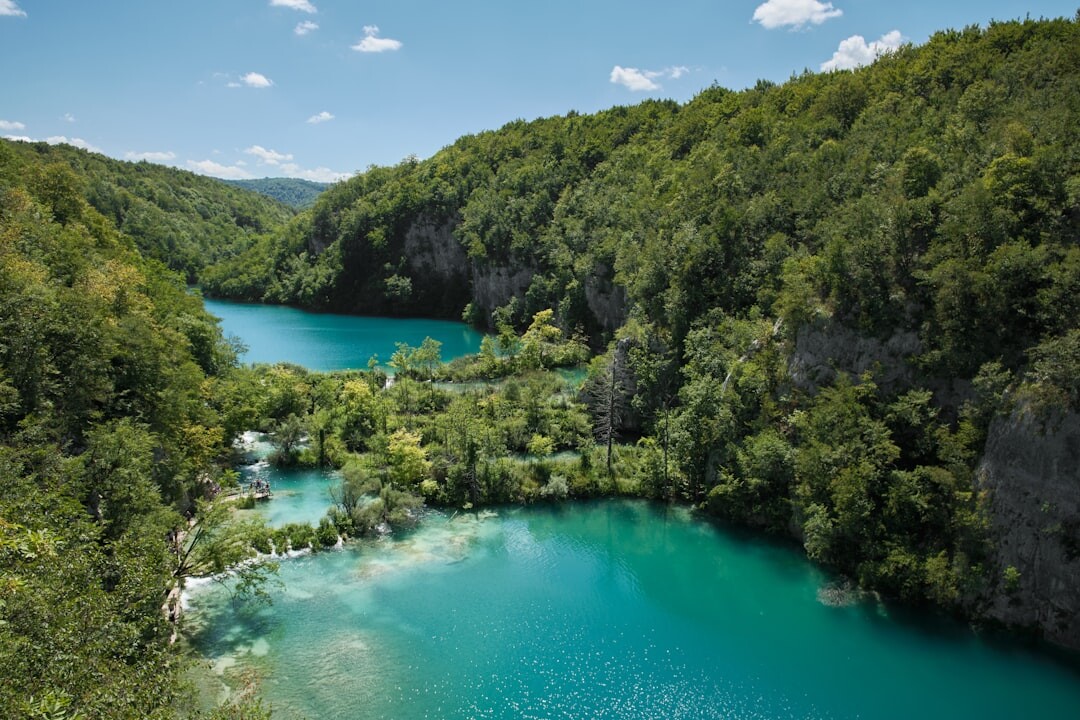 Waterfalls cascading through green forest at Plitvice